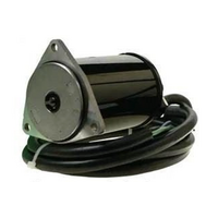 Evinrude Johnson Tilt Trim Motor TRM13